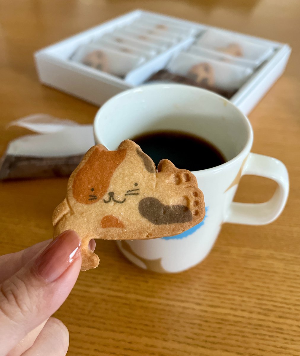 yuki tweet media