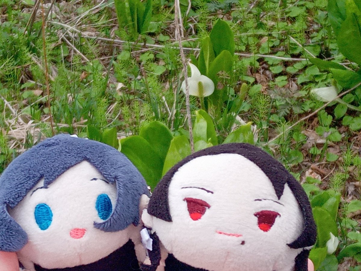 雪菜 (@9xgLma7NJA64936) / Posts / X