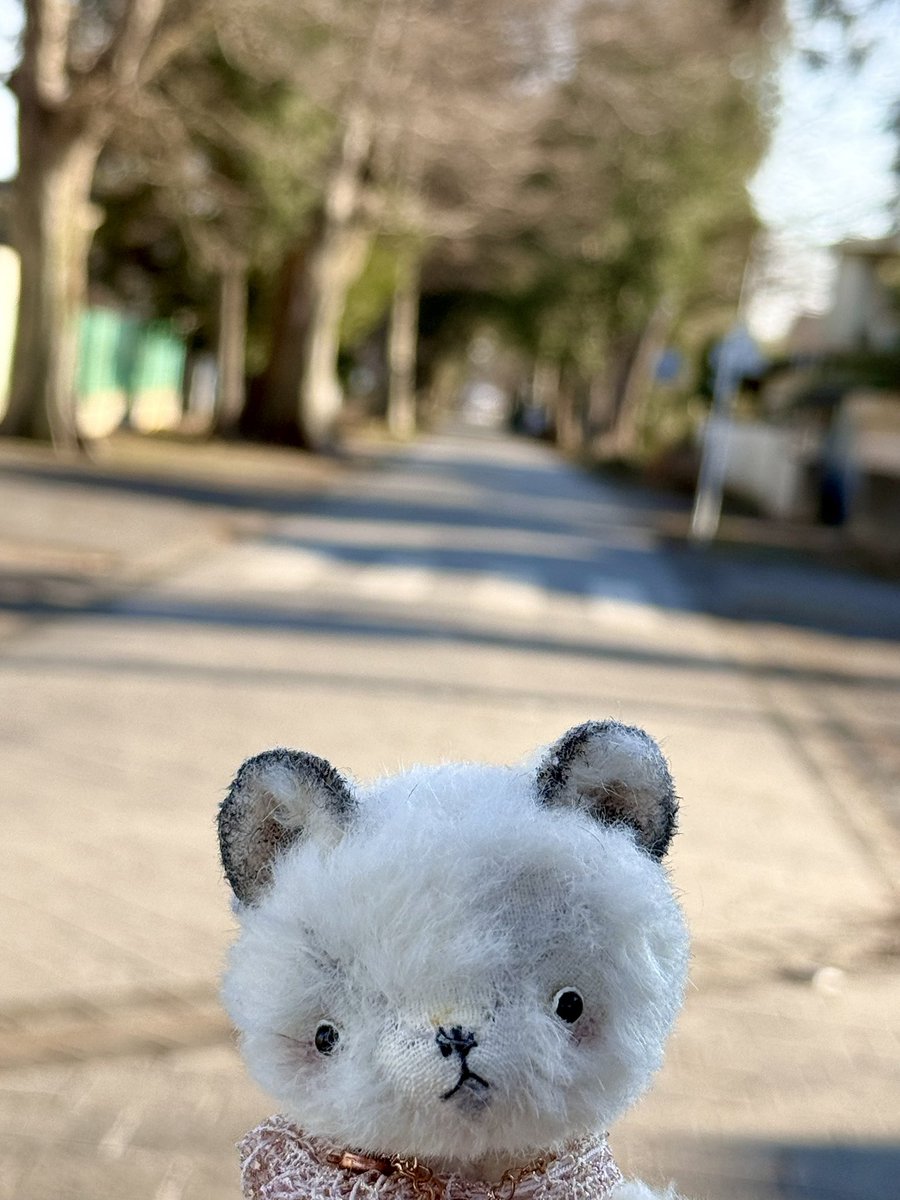 HiNO pixy 様 ねずみ 国内人気作家様 テディベア アーティストベア HiNO pixy 様 ねずみ 国内人気作家様 テディベア アーティストベア