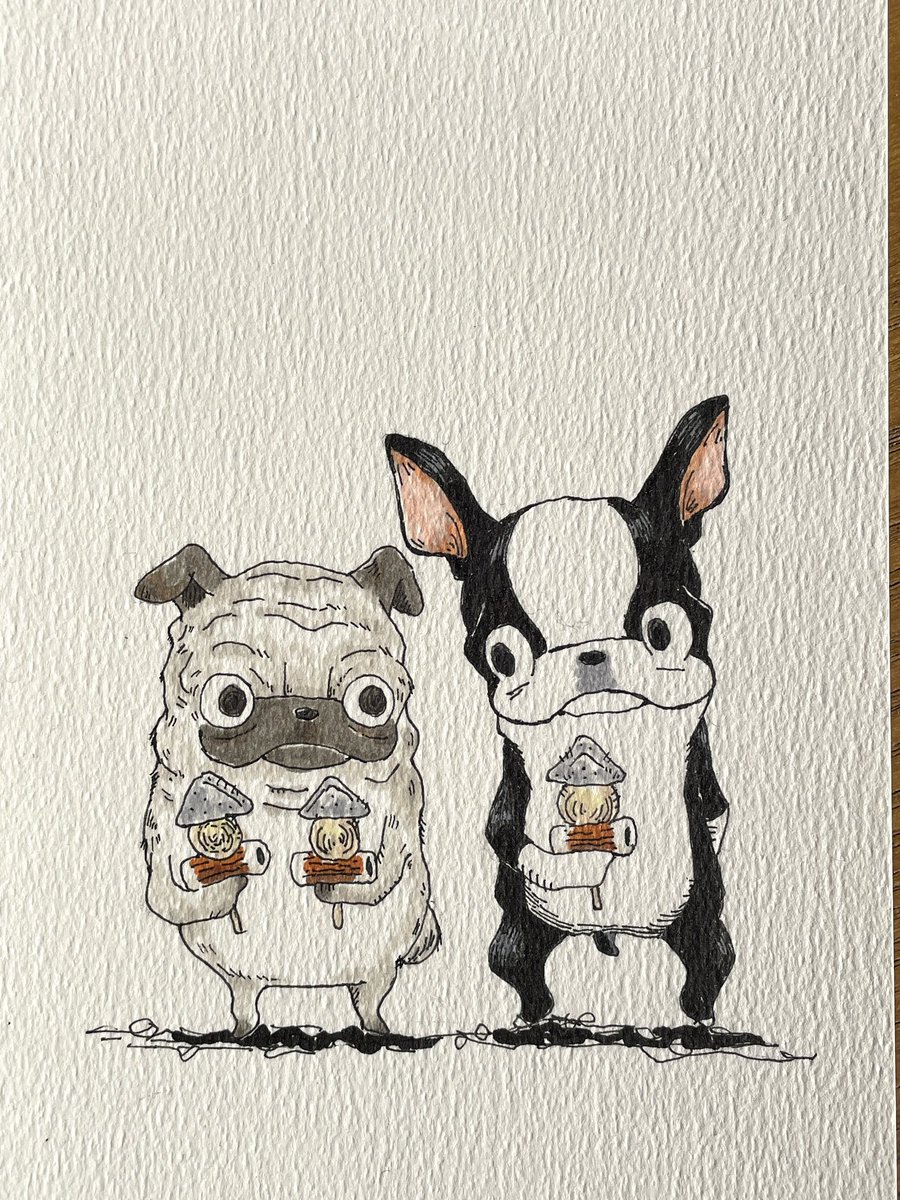 やまちゃんトルツメ (@yamayama0316) / Posts / X