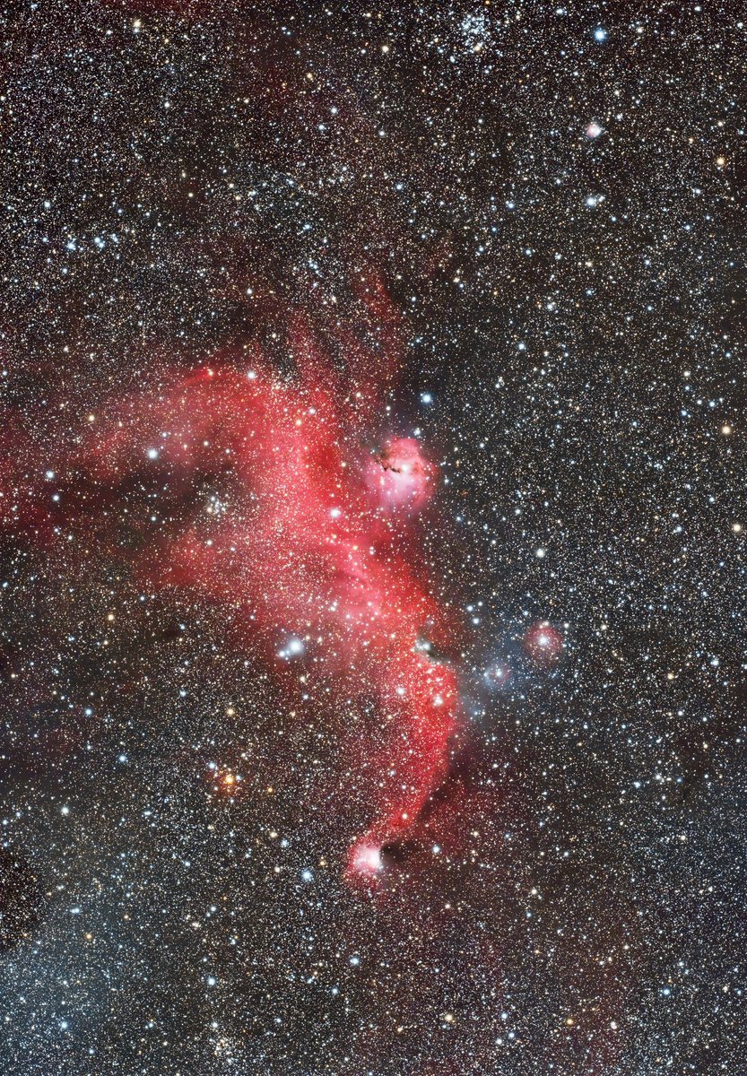 12/27に茨城北部の小山ダムで撮影しました。ASI2600MCとREDCAT51で約3時間の露出です。カモメは何年ぶりかの久しぶりです！
それにしても寒かった…