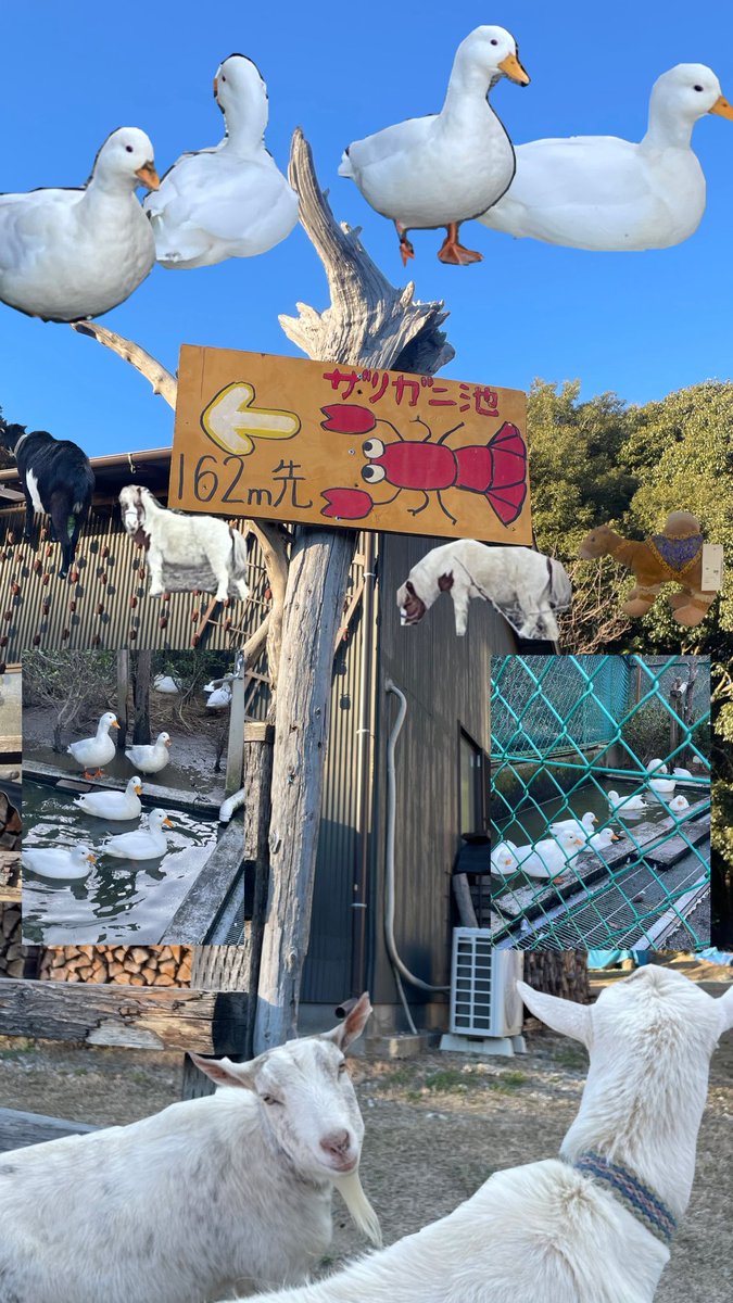 2mを見捨てないでくれてありがとう🦞