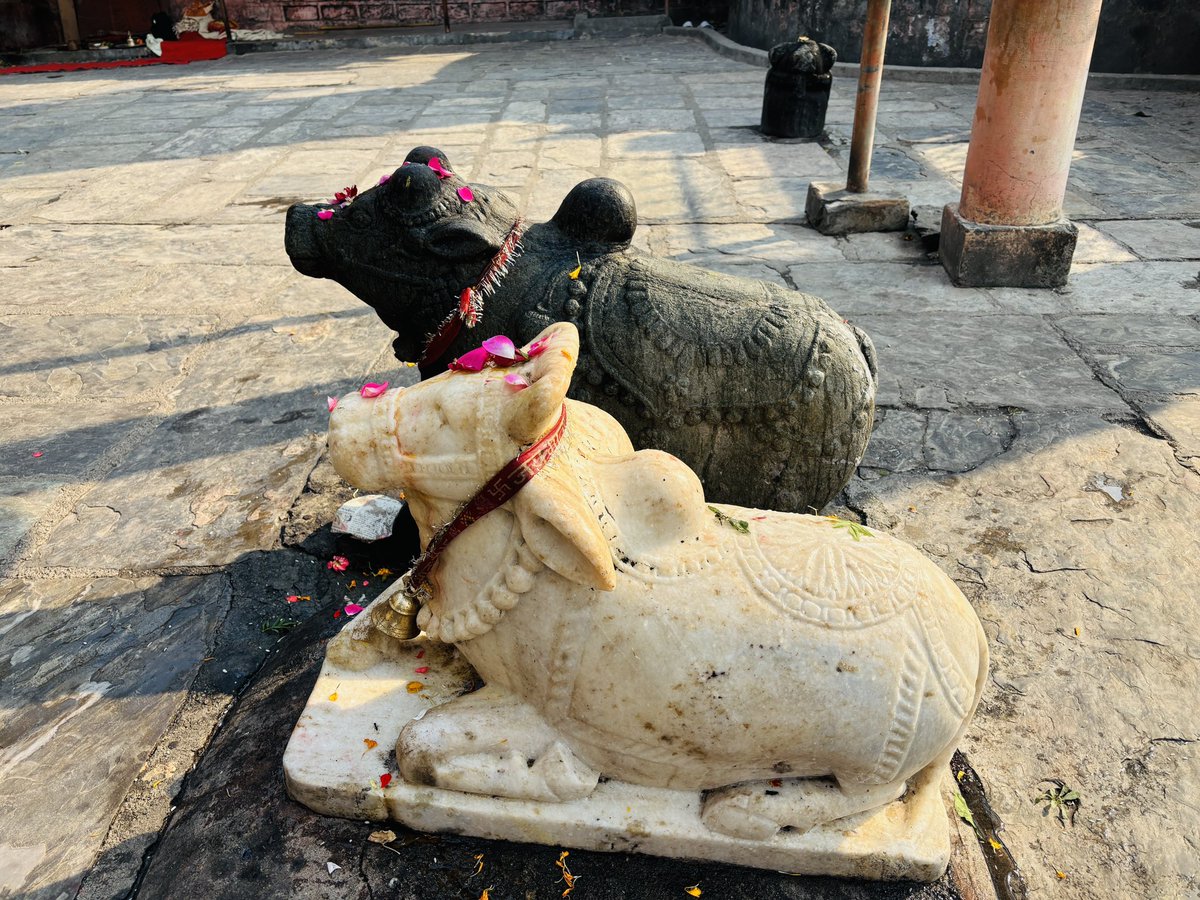 prakashbahuguna's tweet photo. बाबा बागनाथ जी की जय हो 🌺

#The_Land_of_our_Ancestors
#uttarakhand #Manaskhand https://t.co/rFocvg0Xyf