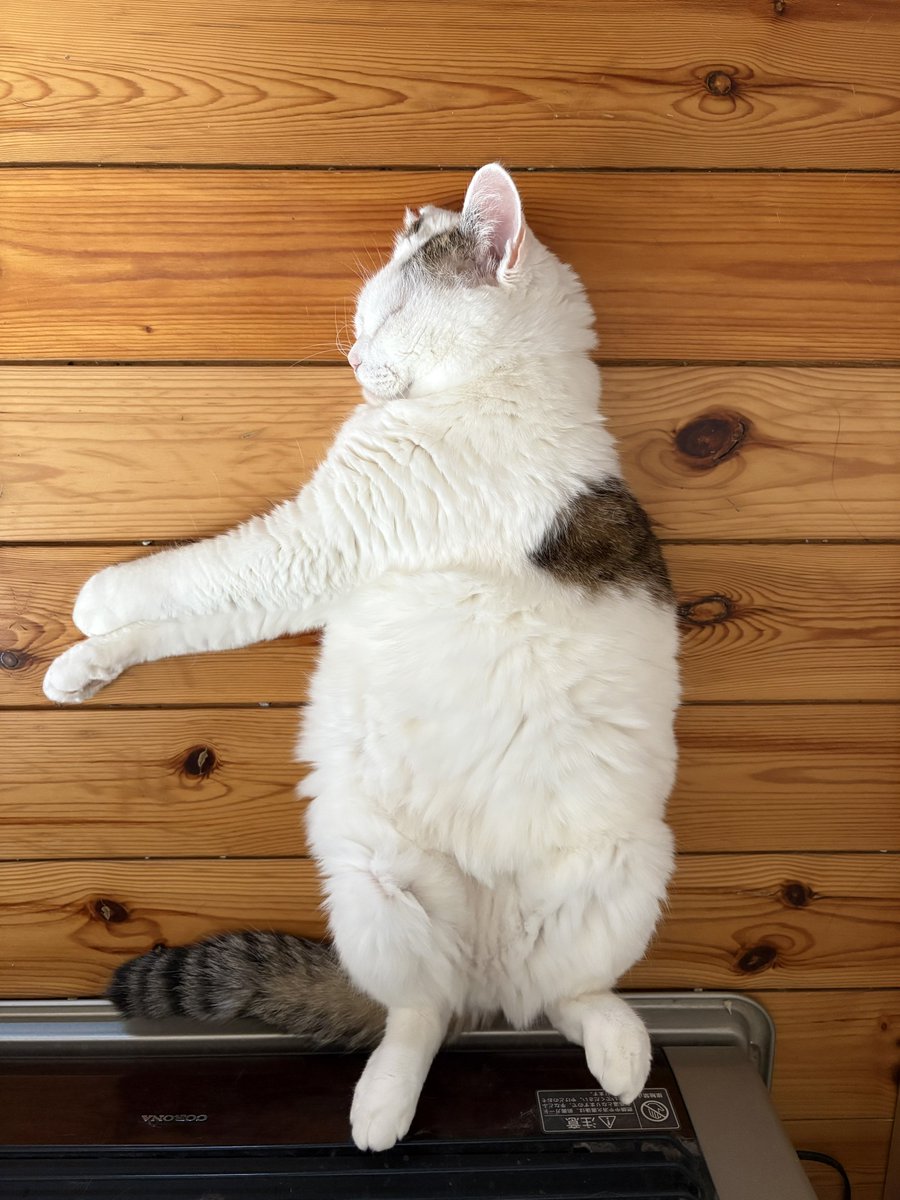 はー、ストーブぬっくいわー