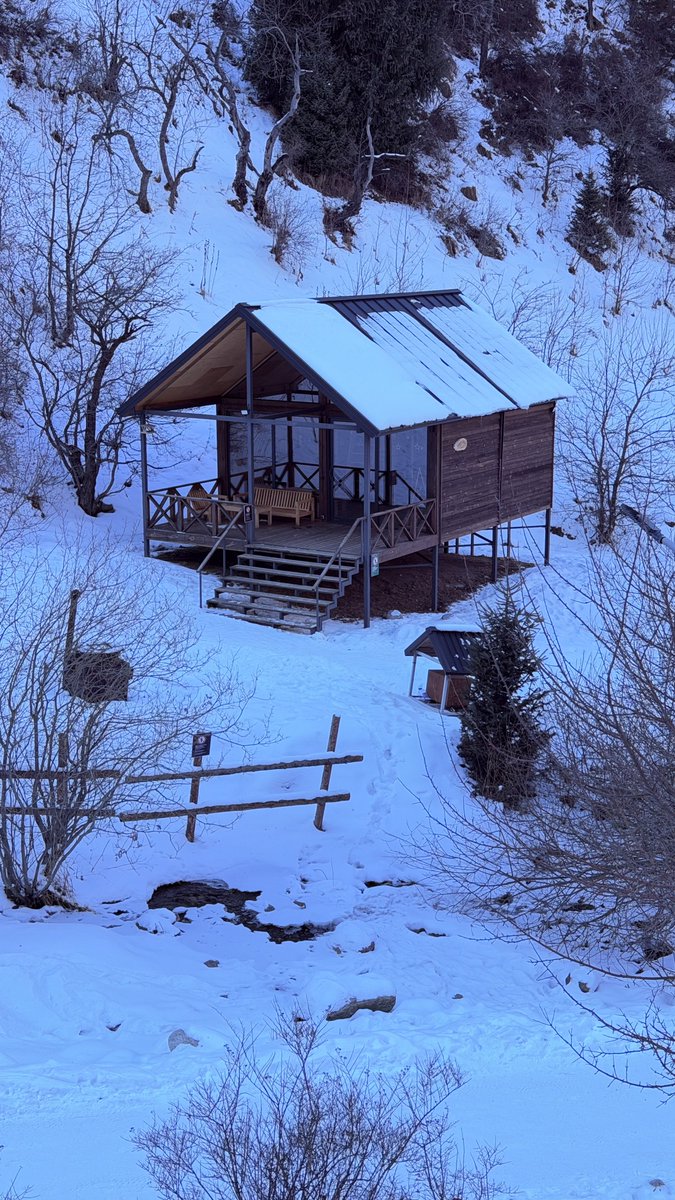 ابو سعيد tweet media