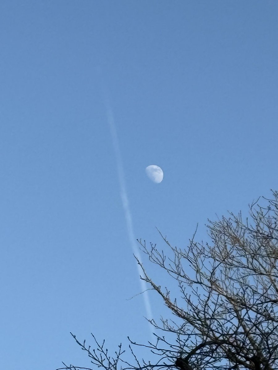 ロンギヌスの槍❓