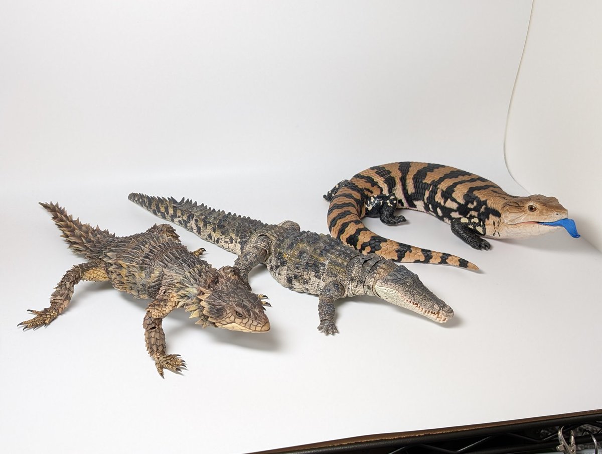 トカゲ プラスチック フィギュア シマテン Amazon.co.jp: BAINFE 12個 フェイク プラスチック トカゲ おもちゃ