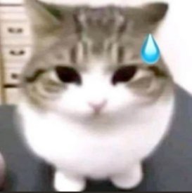 Codependence tweet media