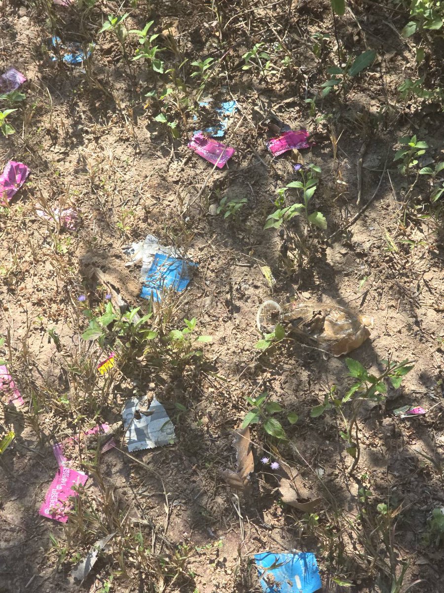 ฺBiMan7 tweet media