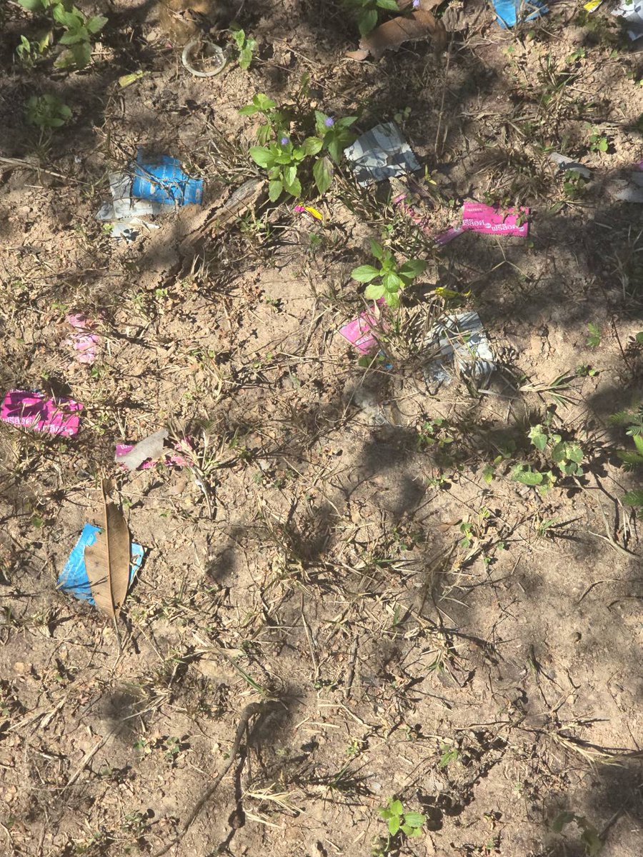 ฺBiMan7 tweet media