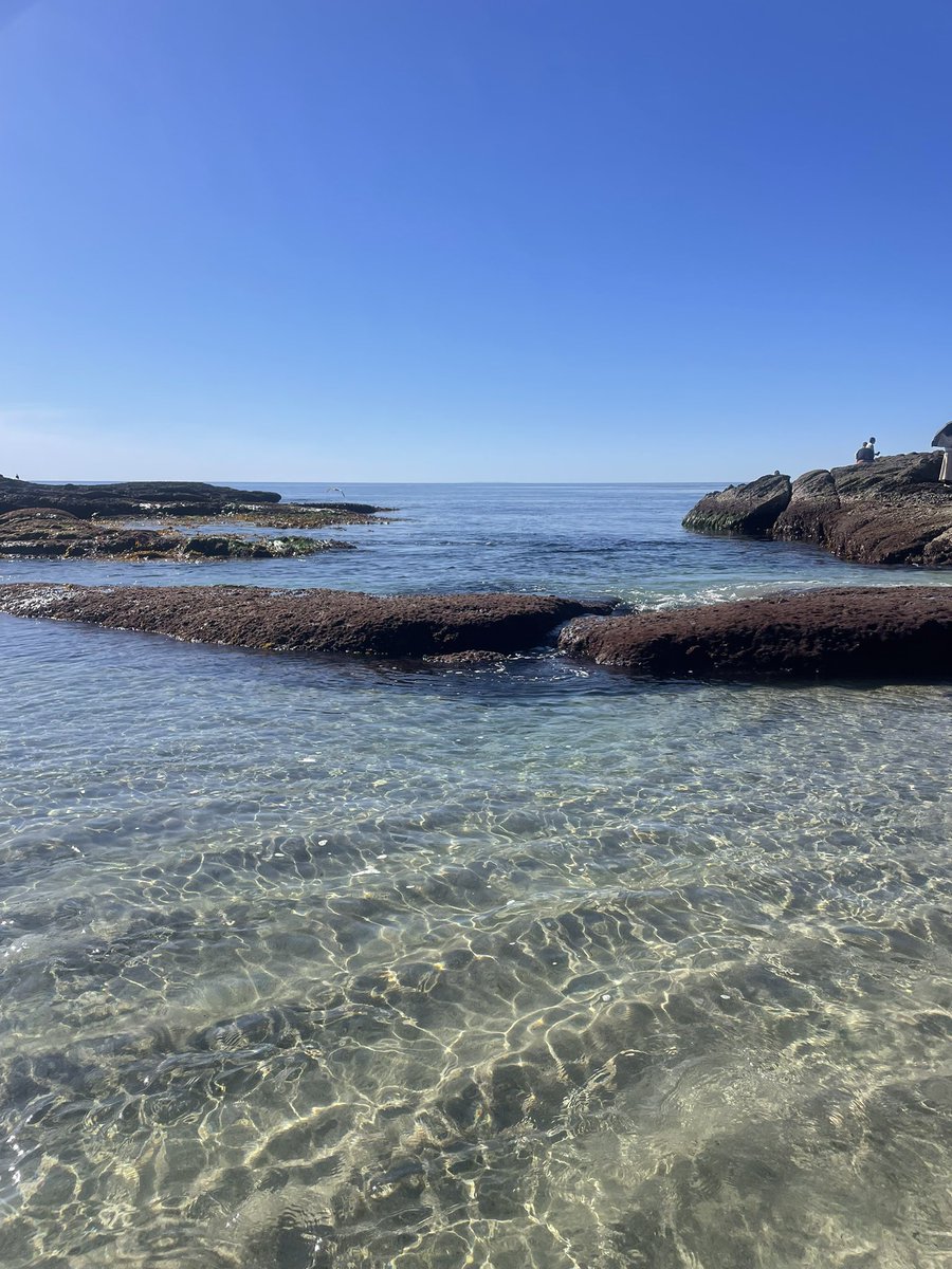 ok but actually the most insane day at the beach I’ve experienced in my entire life today. absolutely unreal. completely flat, crystal clear, visibility for over 30 miles. Lake Pacific as my brother said. man I love the ocean