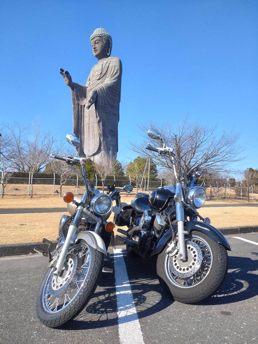 dsc11esquire's tweet photo. おそらく走り納めのツーリングは牛久大仏へ🏍️
蕎麦とカツ丼のセットって、何処で食べても安定の旨さ😋
今日はポカポカ陽気で走りやすい🤗 https://t.co/jsh5z9DpXZ
