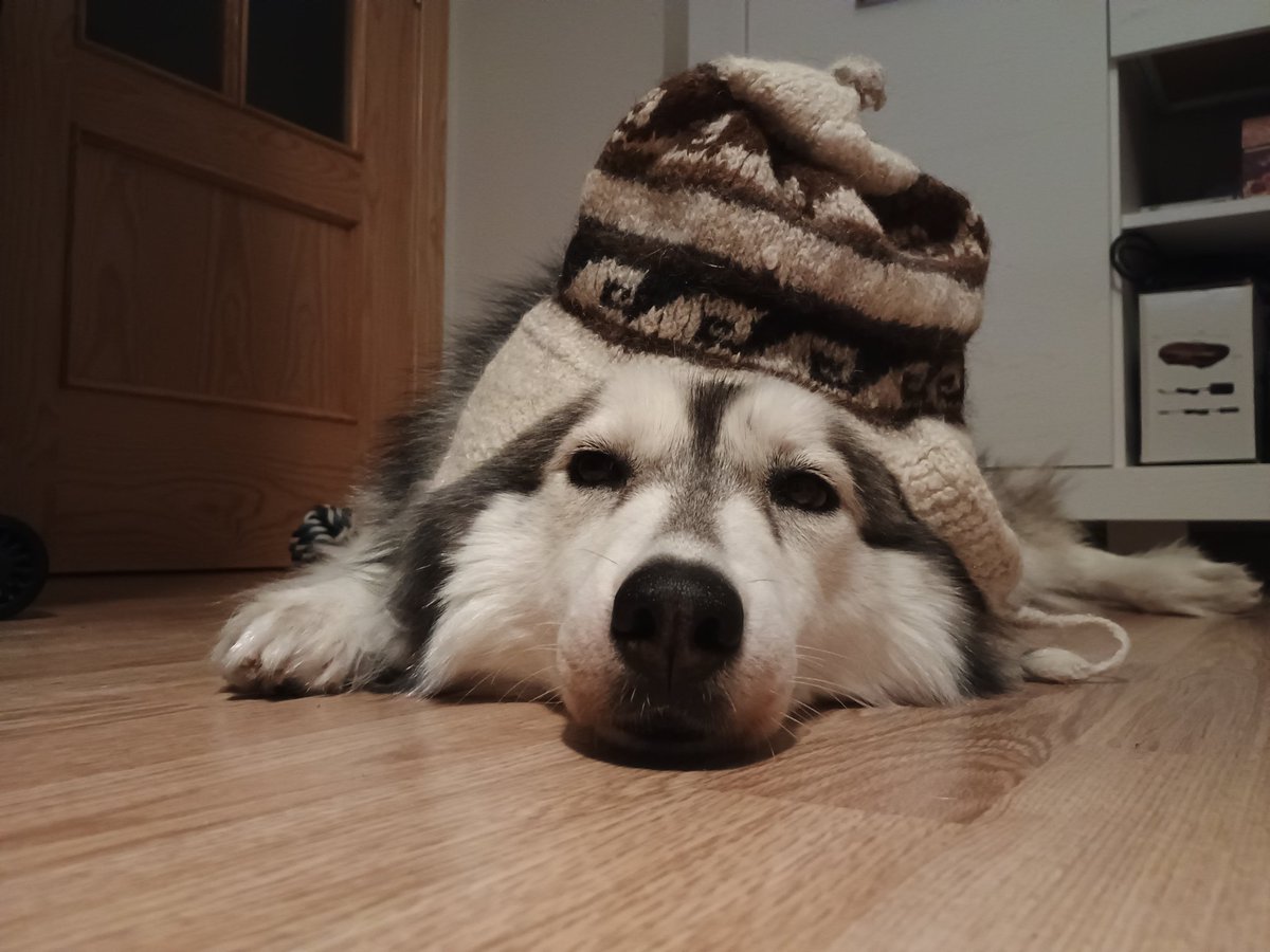 Ineliababs's tweet image. Quiero cambiar de trabajo, realmente es horrible este estrés pero la peor parte es no ver a mi marido durante una noche