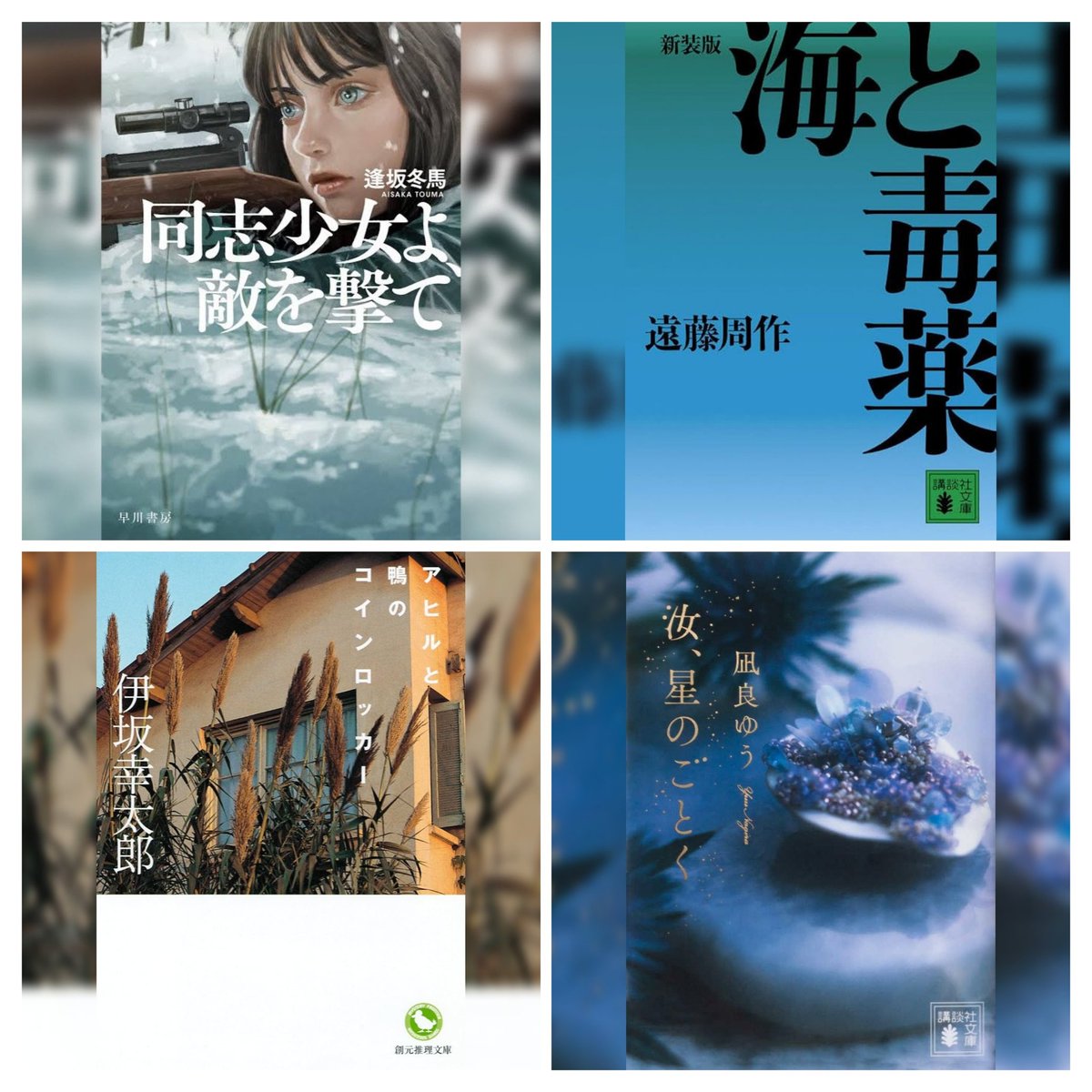 Roco609's tweet image. 今年は51冊読破できた！年初に立てた1か月4冊の目標が達成できて嬉しい🥳
共感力UP &amp;amp; メンタルケアのために始めた読書だけど、本読むの普通に楽しいから今後も続けていきたいね📚️
#2025年の本ベスト約10冊