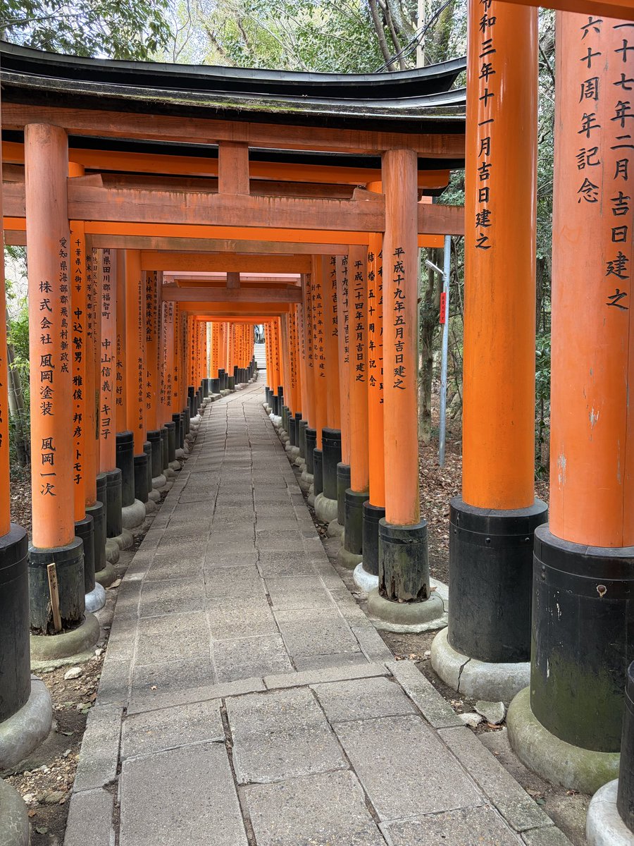 Athen 🪐 tweet media