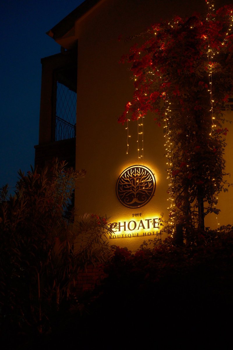 DW Photography tweet media