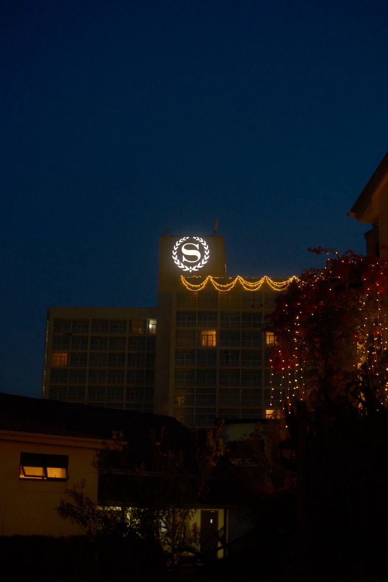 DW Photography tweet media