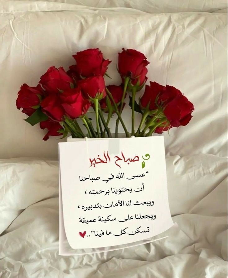 bxxlo9's tweet photo. @km20154 https://t.co/womr7eRvDz