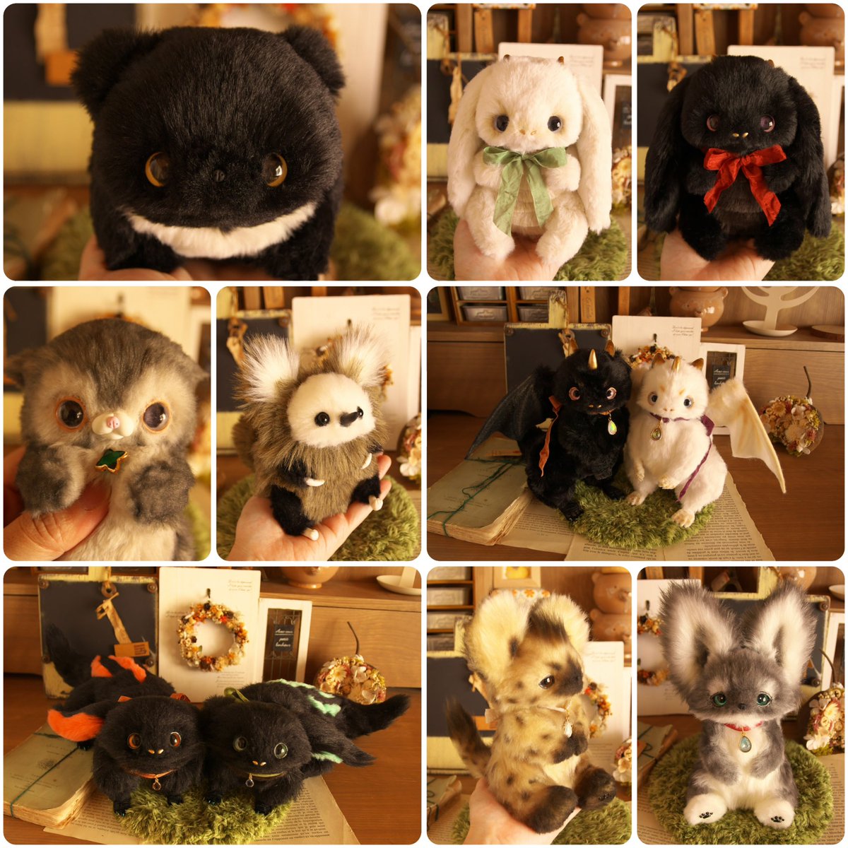 にゃんこ♡ なんて美しい毛並みのハチワレさん😋瞳がアーモンドじゃなくドロップ型