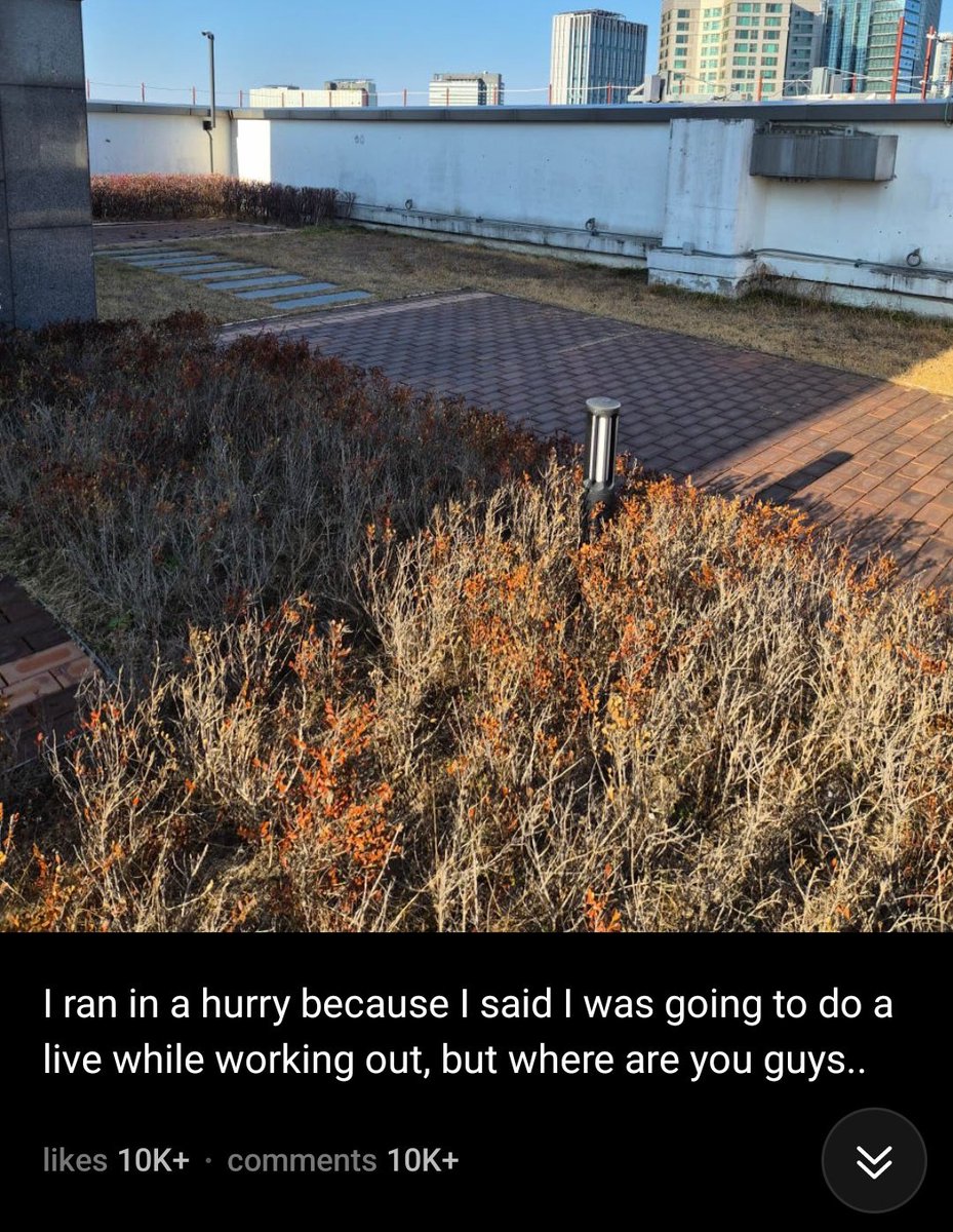 average hyyh jin experience