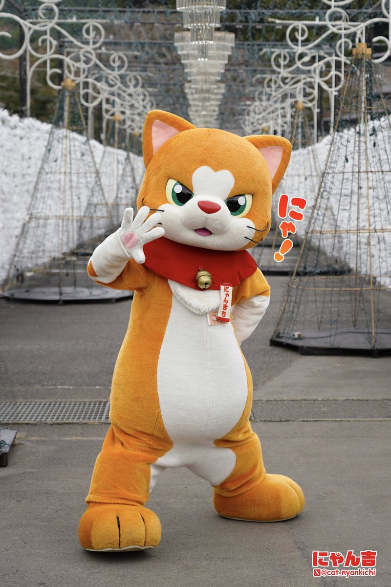 にゃん吉【公式】Nyankichi (@cat_nyankichi) / Posts / X