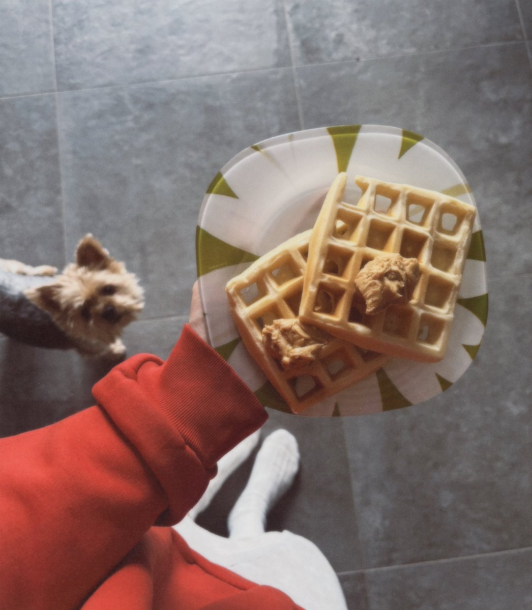 я: мне нравится разнообразная и интересная пища, я люблю овощи в каждом приеме пищи и диетическое мясо, свежие фрукты

мой завтрак седьмой день подряд: