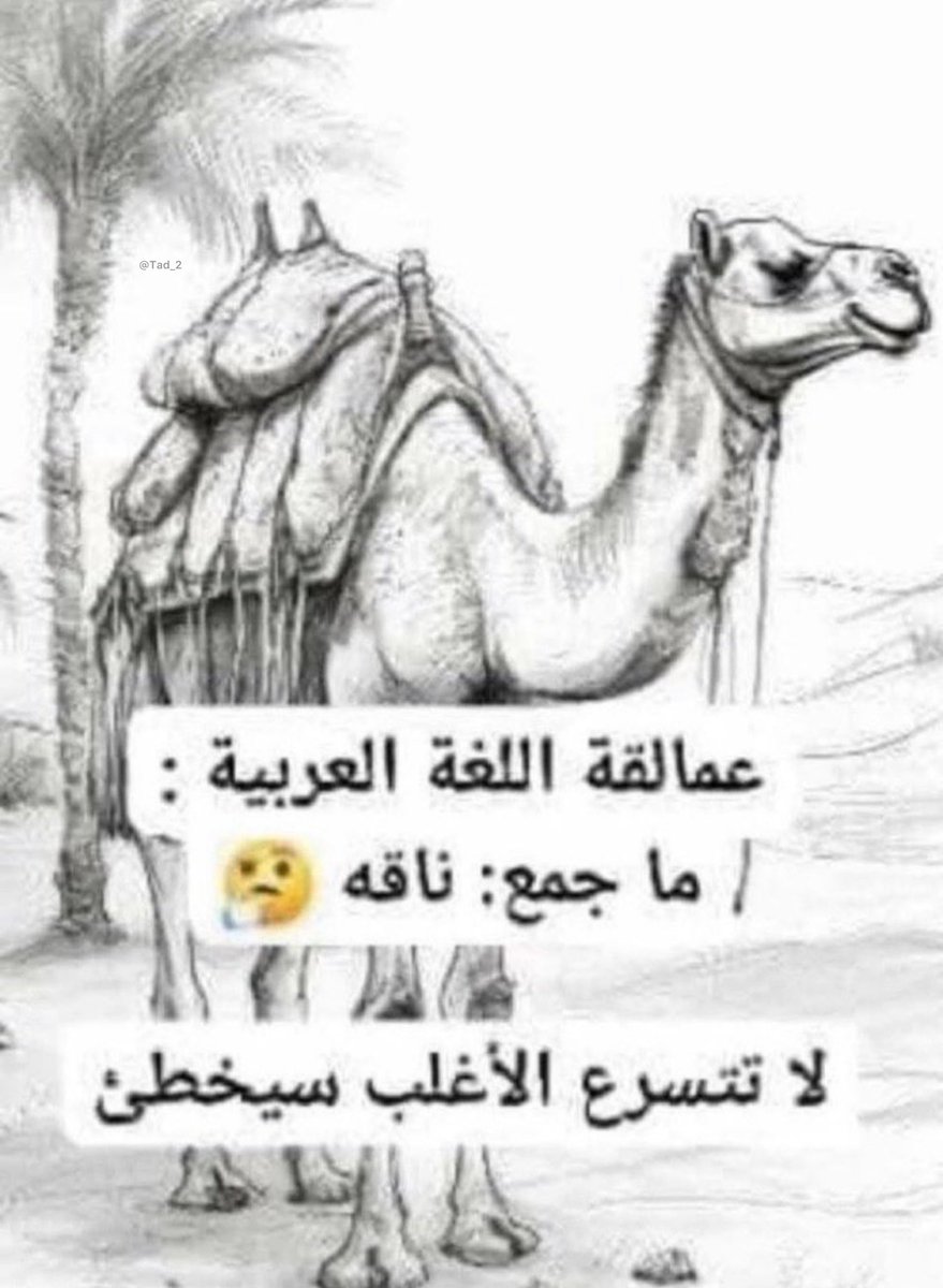 للاذكياء فقـط ؟ 🤔