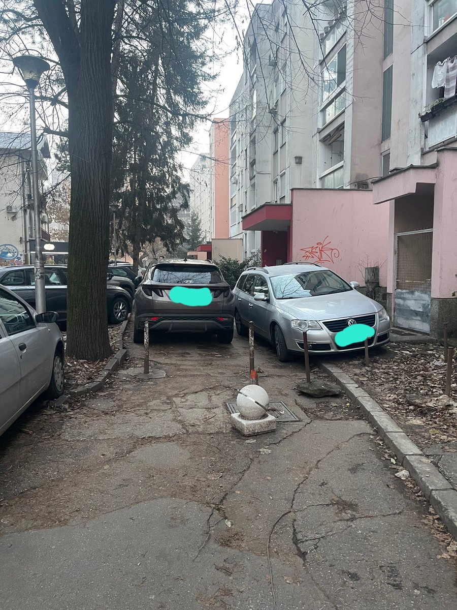 Tijana Grujić tweet media