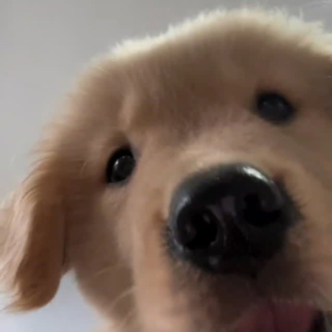 ขอไปต่อปี 2026 กับคุนได้ไหมค่าบ 🥺