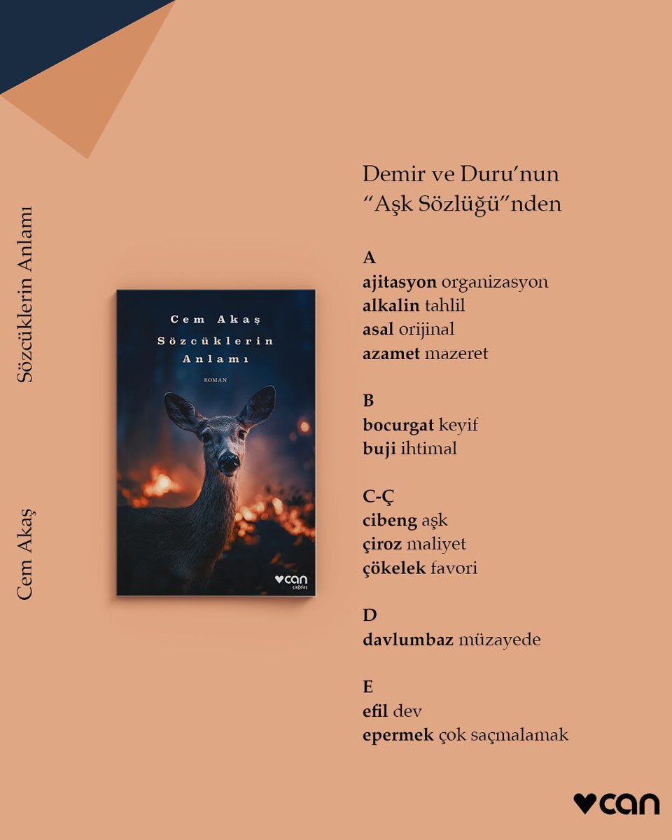 “Bazı hafta sonları Kanlıca’ya kahvaltıya gidiyor ve DDDK toplantısı yapıyorlardı – ‘Duru Demir Dil Kurumu’ olarak sözcüklere yeni anlamlar yüklemenin yanı sıra, uydurma kasnak çalışmalarına da girmişlerdi. ‘Aşk Sözlüğü’nü ve kasnak denemelerini bir YouTube kanalı açarak halkın