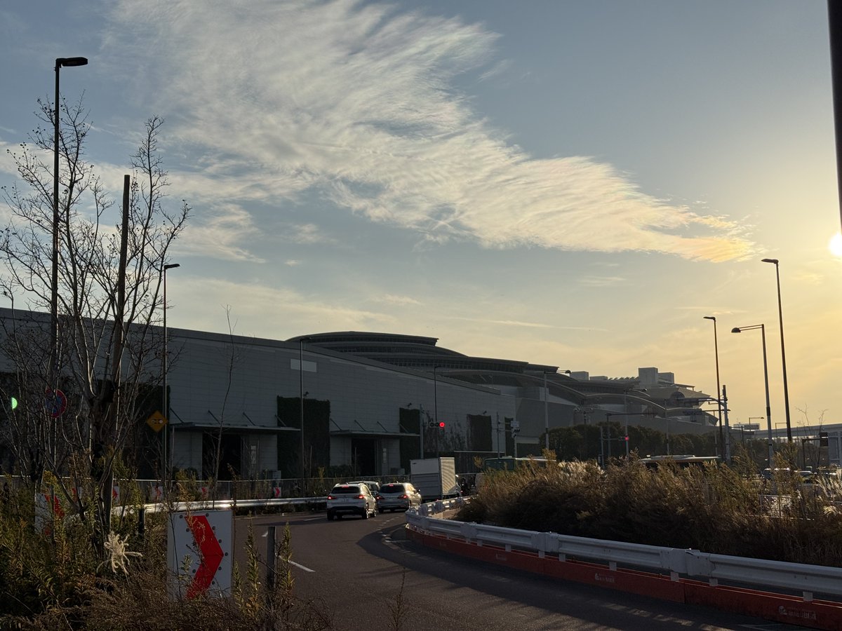 まめすけ MD20 Crossover Taupe - Mandarina Duck