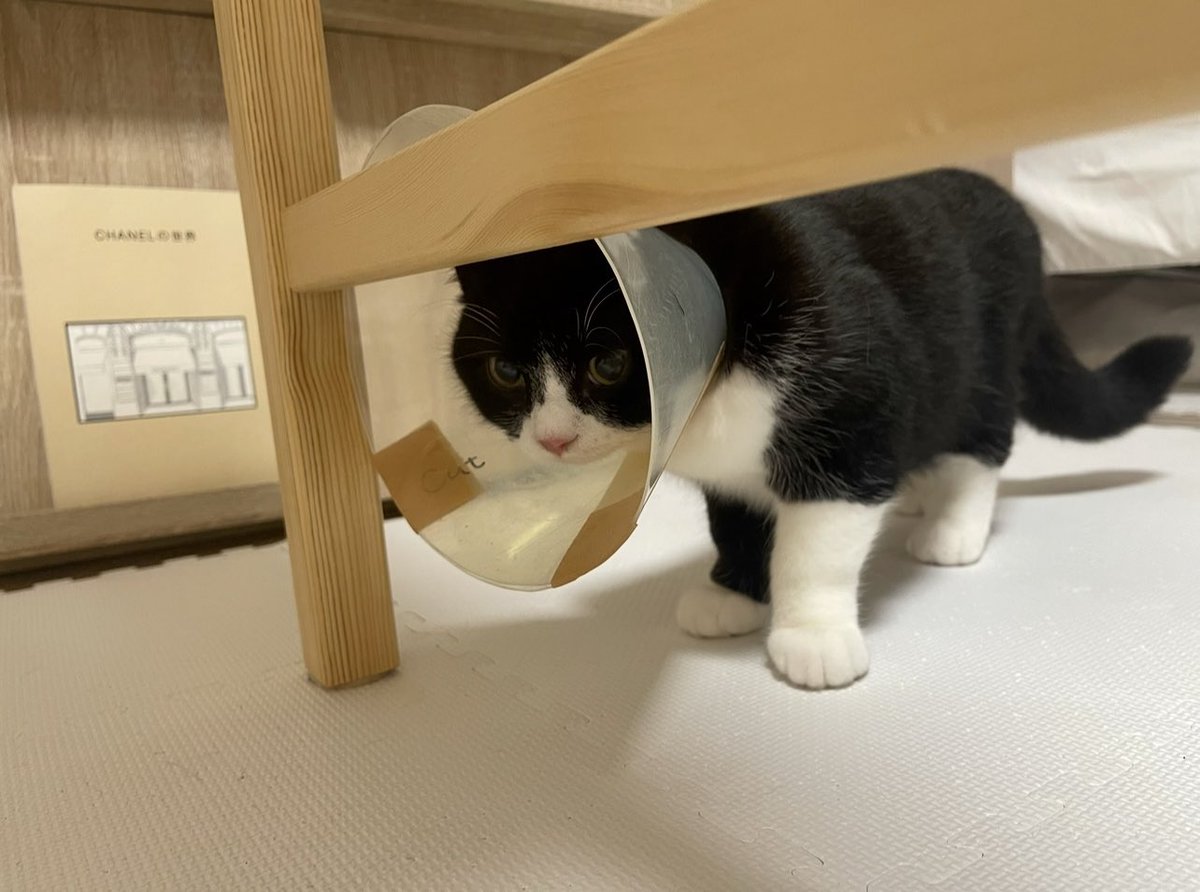 たろう (@taro20216) / Posts / X