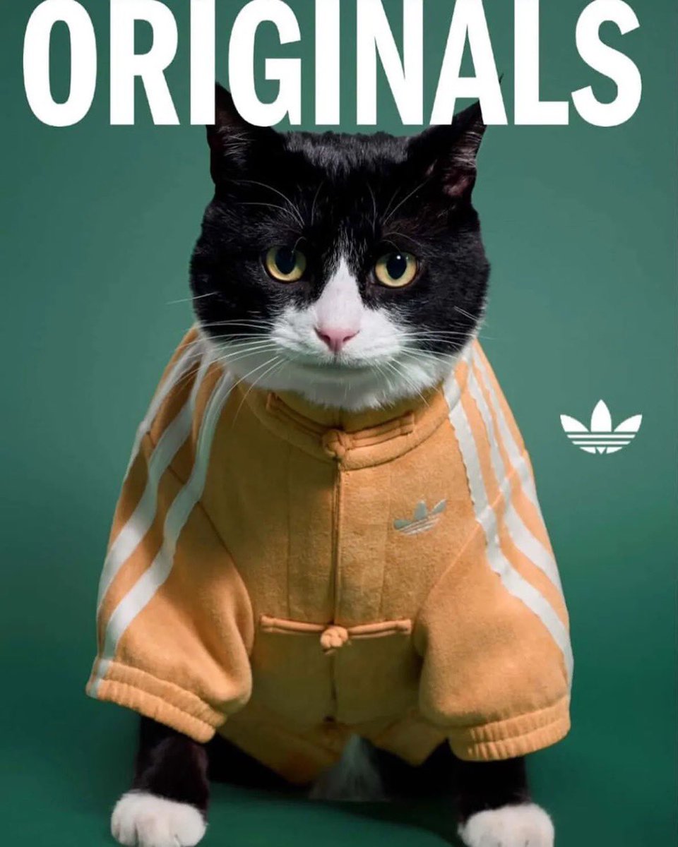 adidas Originals “Chinese New Year 2026” ペットコレクションが登場