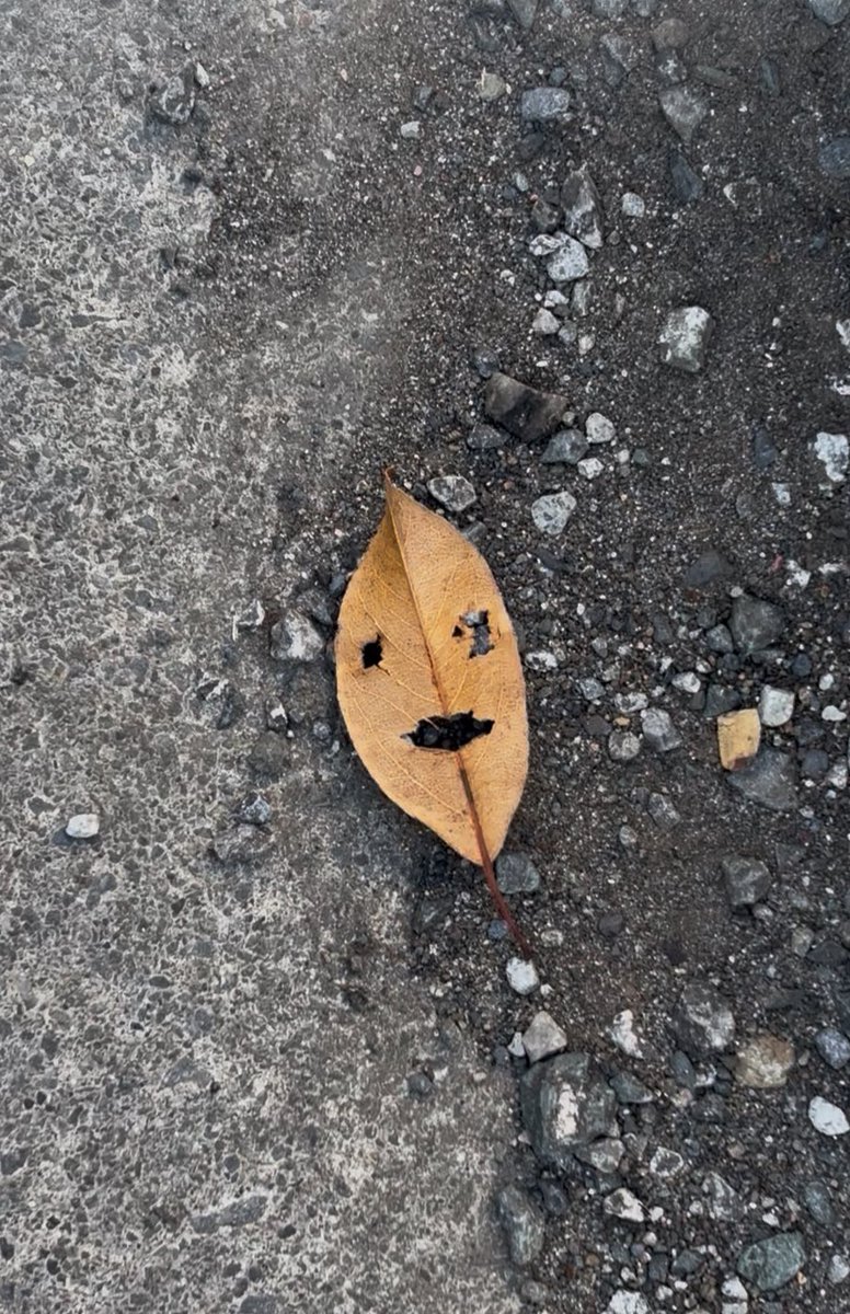 目ぇ合っちゃった🍂👀