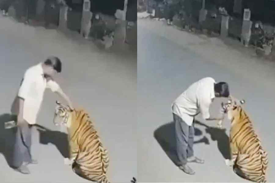 ttindia's tweet photo. 2025: The year AI-generated fake wildlife videos sparked real scares

(@SriroopaD99 reports)

https://t.co/Dakb9Abld7 https://t.co/trynNn4yf5