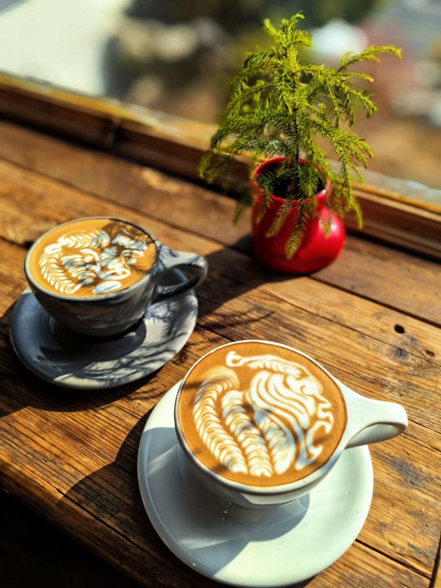 #互关互赞 
下午好