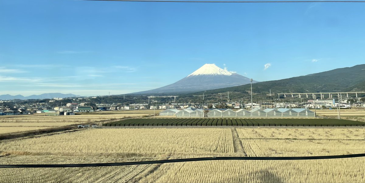 常石梨乃 | Rino Tsuneishi tweet media