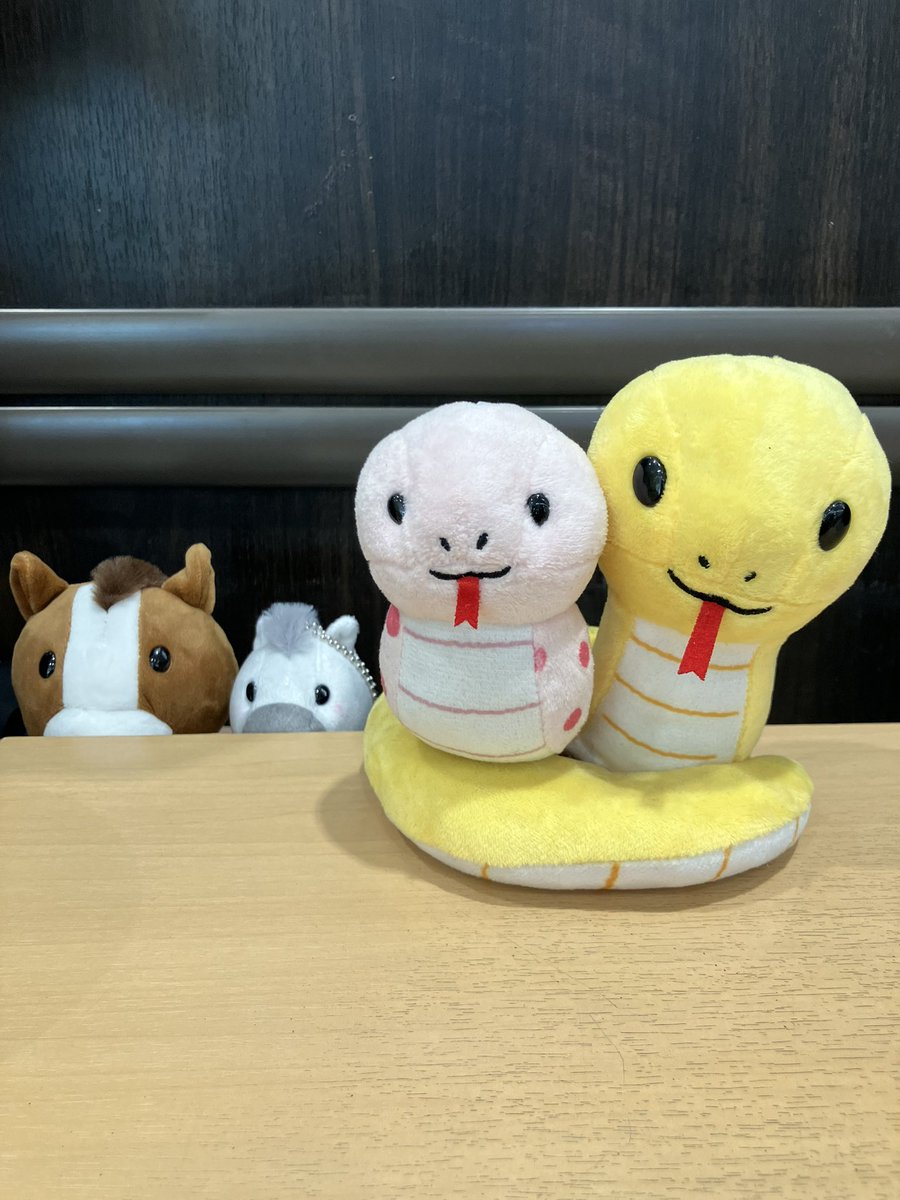 サミット 15P 最終値下げ！ サミットストア公式 (@summitstore_co) / Posts / X