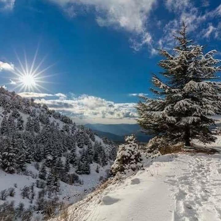 maya_hamwi's tweet image. لبنان يا قطعة سما 🤍🤍
#صباح_الخير