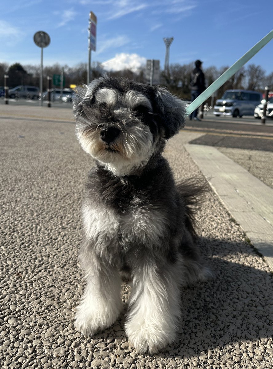 富士山ってわからないけど富士山バックに。
ワンコとデリカの旅。
だいぶ高速の運転が楽になって快適！！
駐車もちょっと慣れてきた。
あとは狭い山道で対向車気にせず運転できるかどうか…
