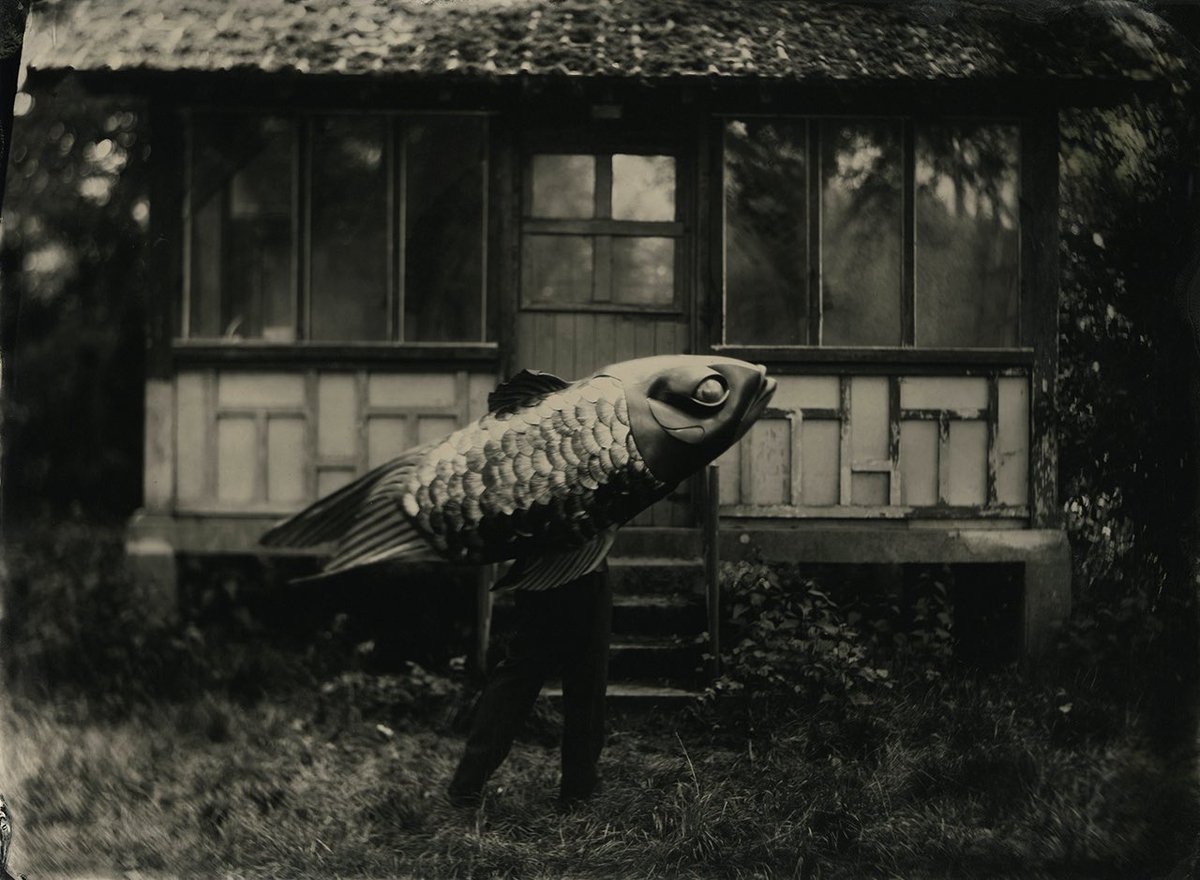 Zawraq's tweet photo. Isa Marcelli (b. 1958) https://t.co/X9vDYGWQLU