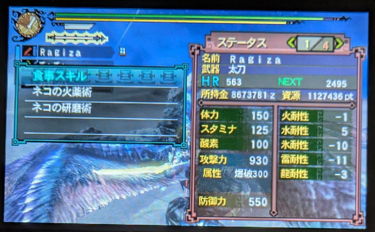 ほむら(Ragiza) tweet media