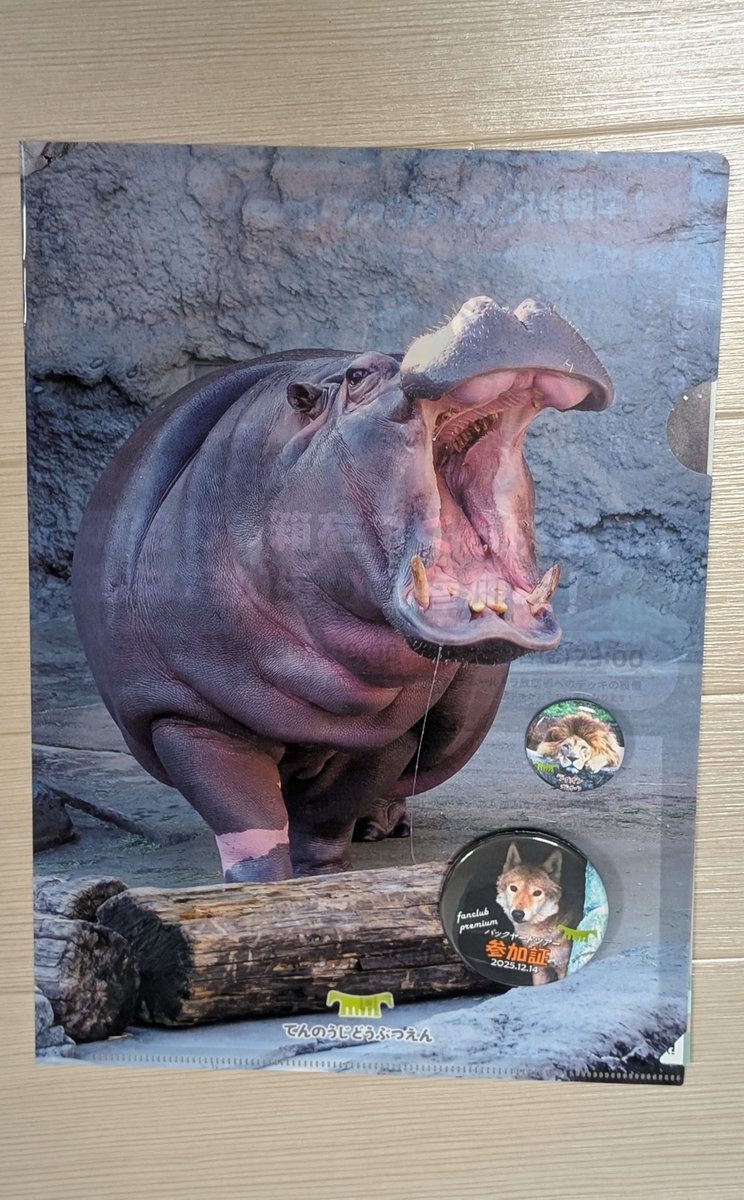 ∠chan000 (@chan000) / Posts / X