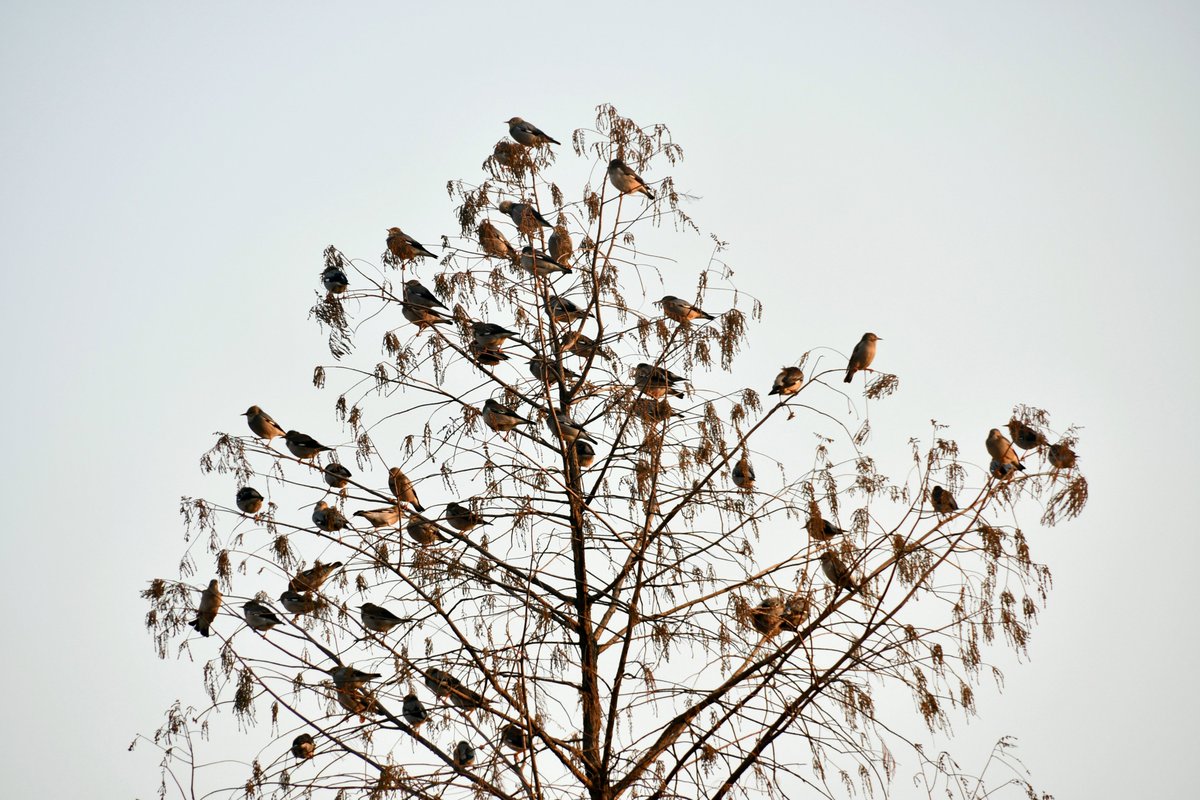 #互关互赞 
大自然的奇妙