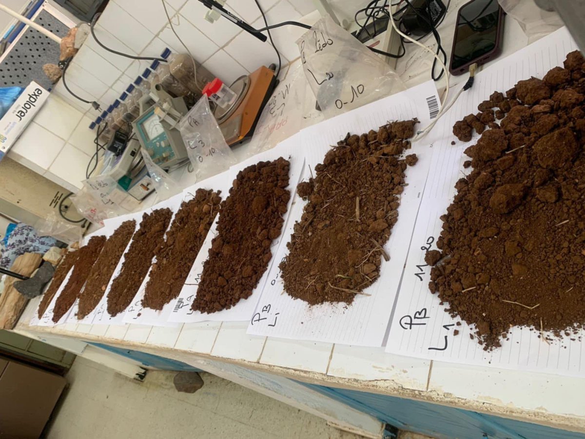 AGROFIG PRIMA tweet media