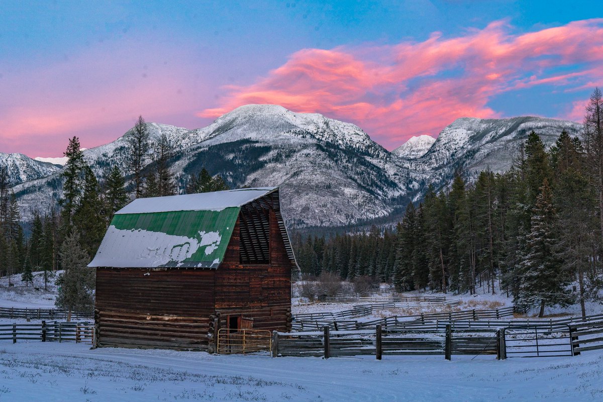 Some pretty pink clouds out behind my barn this evening