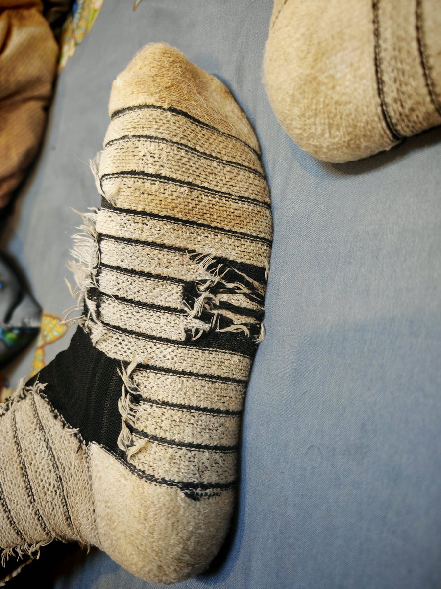 普之舜舜 tweet media