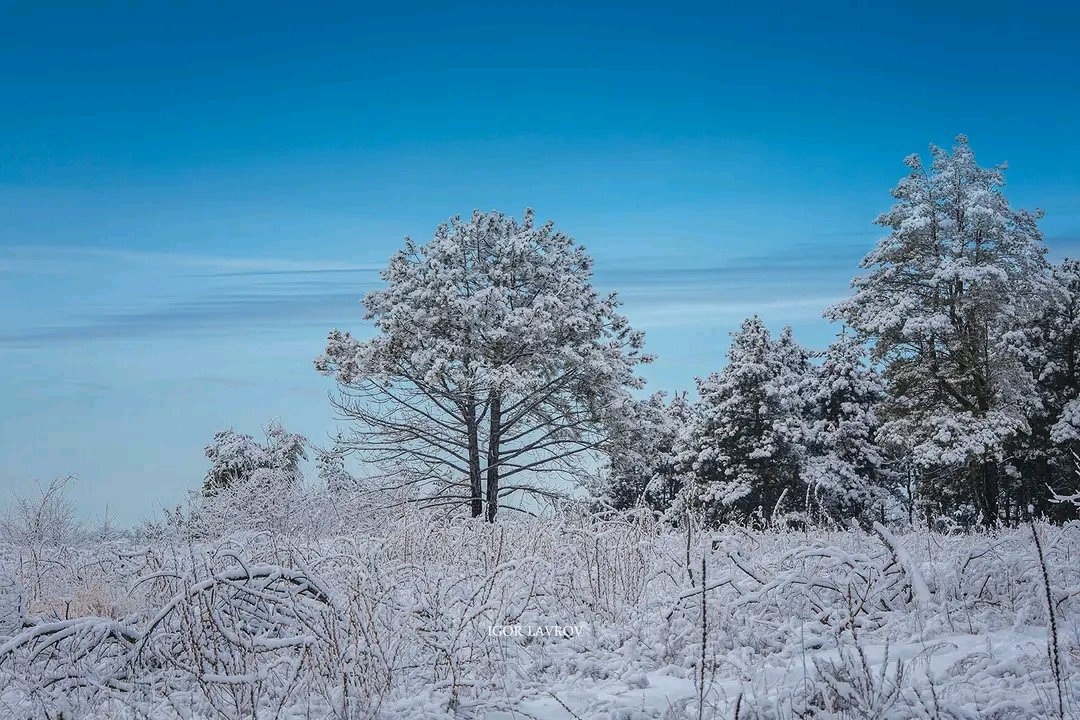 Ранку, мої любі! В мене сьогодні сонечко. Я так за ним сумую, тут його якось малувато. Чудового вівторка! Пагнали!