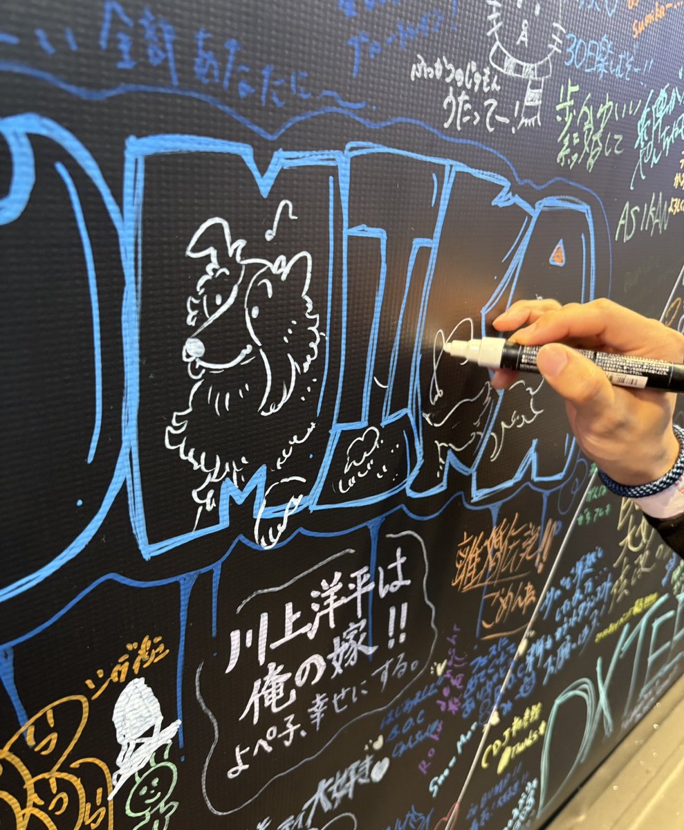 いろはを探せ!🐕🐾 