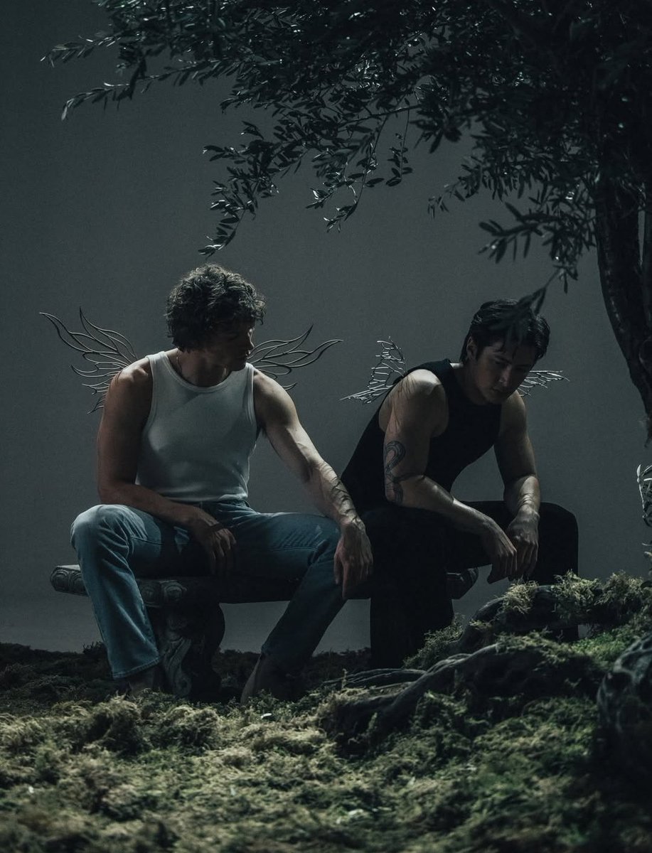 bis | poppyalex tweet media